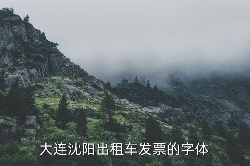 大連停車(chē)場(chǎng)發(fā)票什么樣，大連增值稅普通發(fā)票真?zhèn)卧趺床樵?xún)
