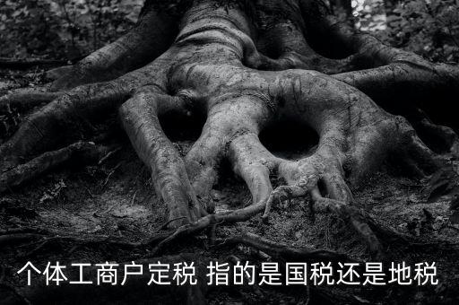 個體戶定稅是什么意思，疑難國稅個體戶定稅