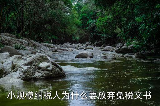 小規(guī)模納稅人為什么要放棄免稅文書