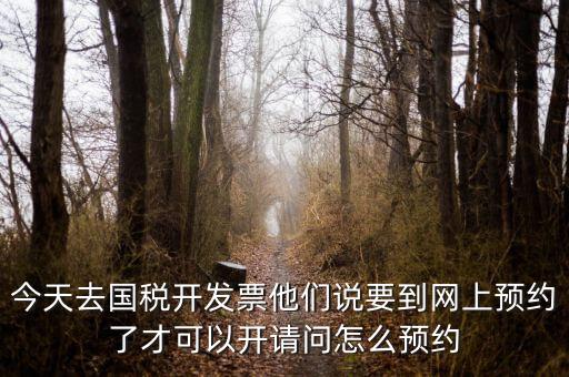國(guó)稅預(yù)約的是什么，拿金稅盤(pán)去國(guó)稅前臺(tái)弄要預(yù)約嗎