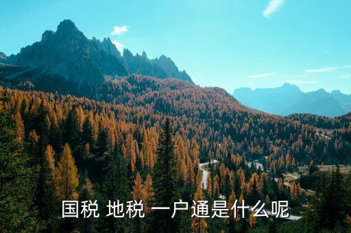 稅務通有什么用，國稅 地稅 一戶通是什么呢