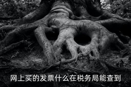 網(wǎng)上查發(fā)票能查到什么內(nèi)容，網(wǎng)上買的發(fā)票什么在稅務(wù)局能查到