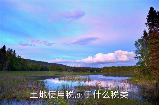 土地使用稅是放在什么類別里的，土地使用稅屬于什么稅類
