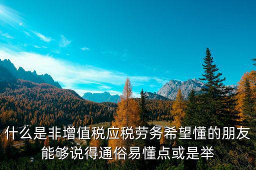 非增值稅應(yīng)稅勞務(wù)什么意思，什么是非增值稅應(yīng)稅勞務(wù)希望懂的朋友能夠說得通俗易懂點或是舉