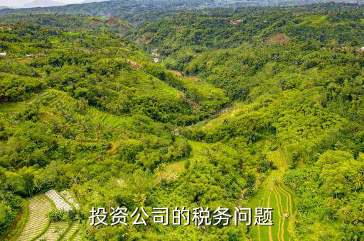 投資公司需要交什么稅，投資公司修建寺院需要上稅嗎上什么稅種