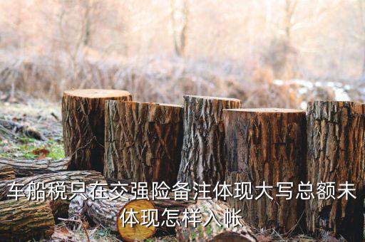 車船稅 為什么只備注，保險(xiǎn)公司代收的車船稅稅款是填在備注欄里的么