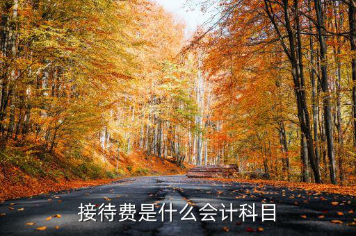 接待費(fèi)計(jì)入什么科目，業(yè)務(wù)招待費(fèi)屬于什么會(huì)計(jì)科目