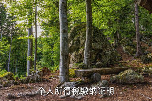 個人稅務證明是什么，什么是個人納稅證明