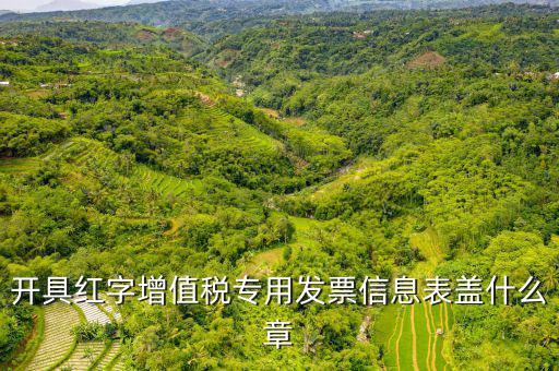 發(fā)票章什么樣子，開具紅字增值稅專用發(fā)票信息表蓋什么章
