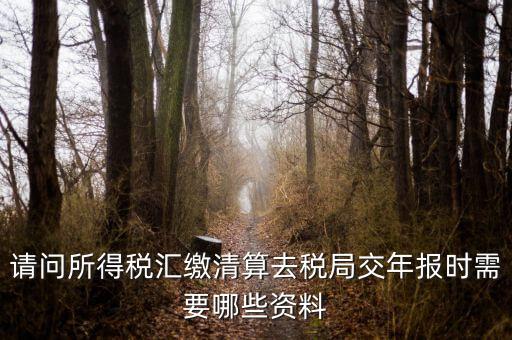 公司稅務年報需要什么，問企業(yè)所得稅年報怎么報需要什么資料
