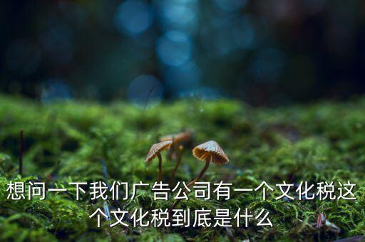 什么是稅務(wù)文化，和諧地稅文化的內(nèi)涵應(yīng)包括哪些方面