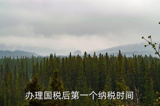 報(bào)稅后什么時(shí)候交稅，辦理國稅后第一個(gè)納稅時(shí)間