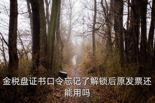 金稅盤(pán)證書(shū)口令忘記了解鎖后原發(fā)票還能用嗎