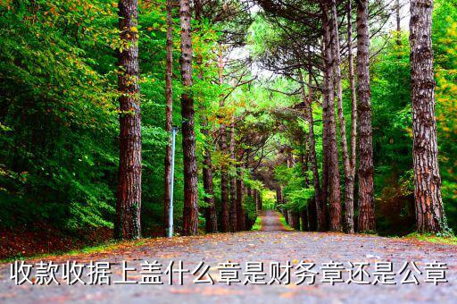 收據(jù)加蓋什么章，收據(jù)蓋什么章有規(guī)定嗎
