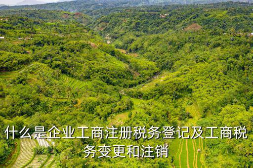 登記稅務(wù)是什么，什么是納稅人稅務(wù)登記名稱