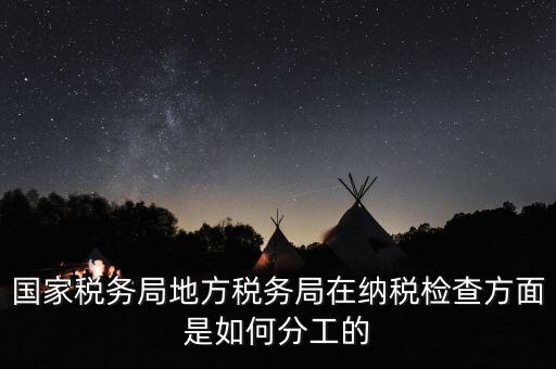地方稅務(wù)局一案雙查是什么意思，國稅局一二稽查大隊(duì)是何意思