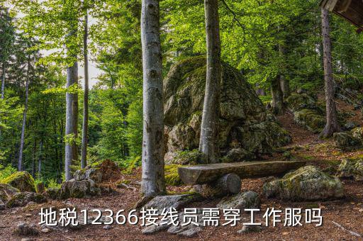 12366地稅主要負(fù)責(zé)什么，地稅是指什么
