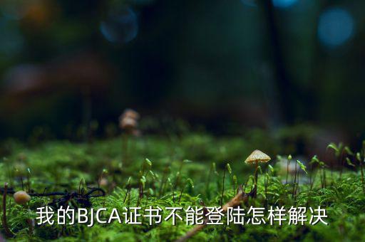 為什么ca證書(shū)不能登錄，我的BJCA證書(shū)不能登陸怎樣解決