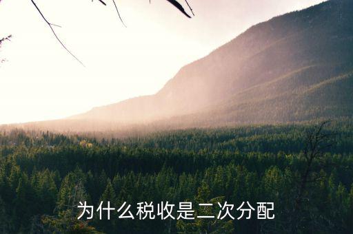 稅務雙公示是什么意思，為什么稅收是二次分配