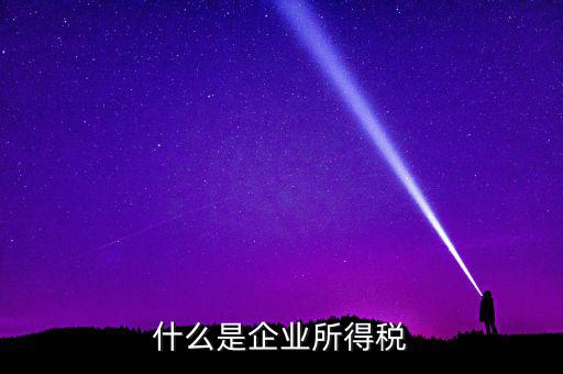 什么是公司所得稅，企業(yè)所得稅是什么意思
