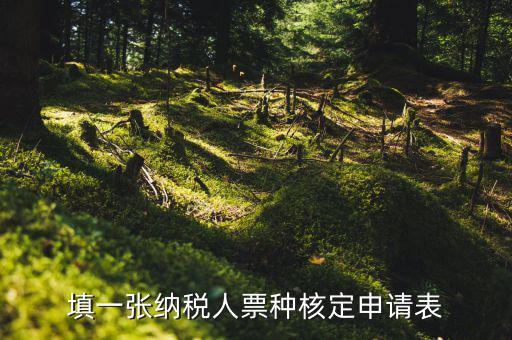 交票種核定表是什么，納稅人領購發(fā)票票種核定申請表如何填寫