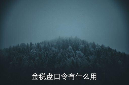 報(bào)稅數(shù)字證書口令是什么，陜西天暢偉業(yè)的網(wǎng)上報(bào)稅系統(tǒng)的登錄口令是什么