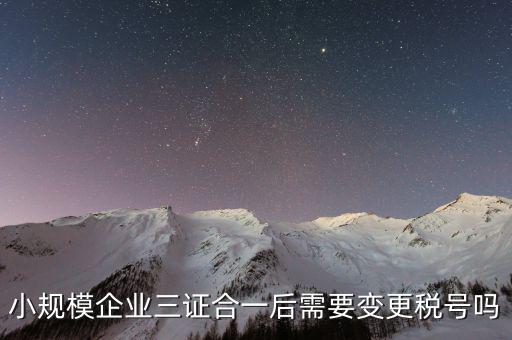 什么情況需要變更稅號，小規(guī)模企業(yè)三證合一后需要變更稅號嗎
