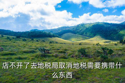 去地稅作廢申報(bào)需要帶什么手續(xù)，去地稅局辦撤回個(gè)人所得稅申報(bào)用帶什么