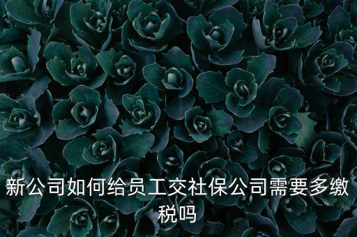 公司交社保要交什么稅，企業(yè)為員工交養(yǎng)老保險(xiǎn)要不要交稅的