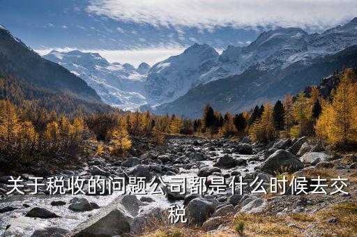 每個什么時候交稅，關(guān)于稅收的問題公司都是什么時候去交稅