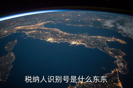 企業(yè)稅務(wù)識(shí)別號(hào)是什么意思，稅納人識(shí)別號(hào)是什么東東