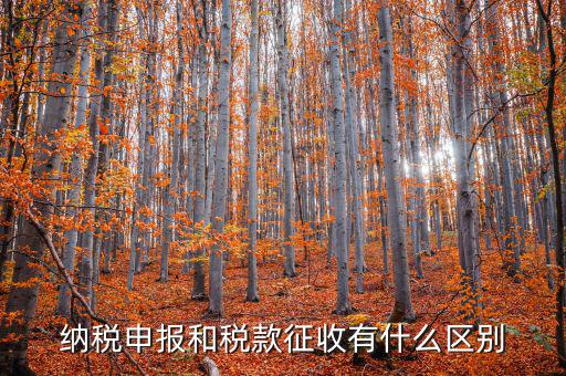 什么是申報征收，什么是房產(chǎn)稅的申報繳納