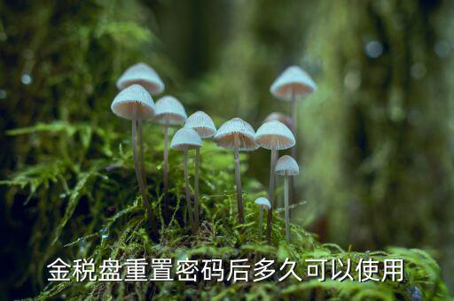 ca國稅密碼重置后是什么，樂稅社區(qū)稅友提問CA登錄時的密碼是什么納稅人自己定的還是稅