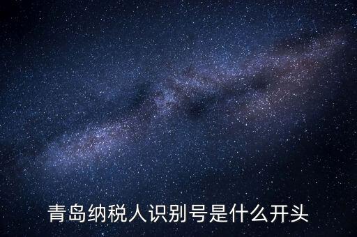 納稅人識(shí)別號(hào)什么開頭，納稅人識(shí)別號(hào)330100開頭的是哪個(gè)地方的