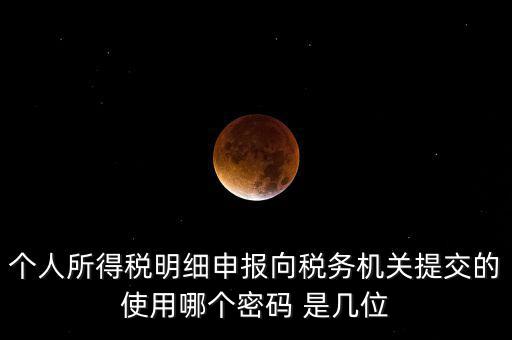 個人所得稅明細申報向稅務(wù)機關(guān)提交的使用哪個密碼 是幾位