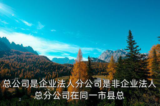 非總分機(jī)構(gòu)是什么，納稅人基本情況表沒有總分機(jī)構(gòu)總機(jī)構(gòu)名稱等還要不要填