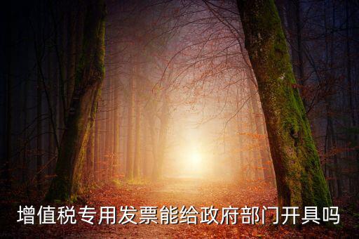 什么內(nèi)容的發(fā)票不可以給政府部門(mén)，增值稅專(zhuān)用發(fā)票能給政府部門(mén)開(kāi)具嗎