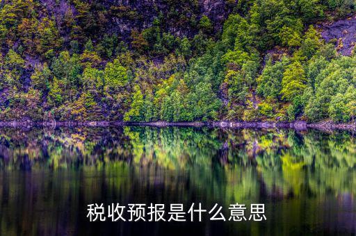 稅收預(yù)測什么意思，稅收分析和稅收預(yù)測是什么關(guān)系稅收分析預(yù)測制度 應(yīng)該怎么從哪方面