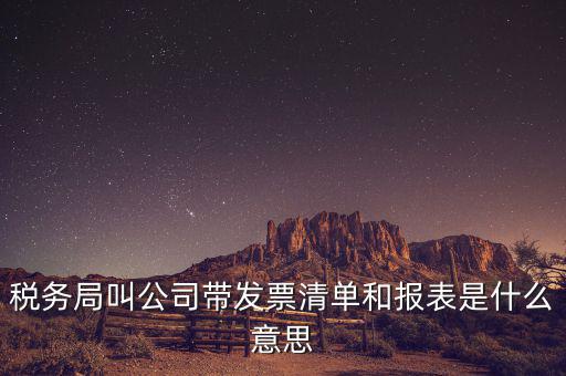 發(fā)票清單是什么意思，稅務(wù)局叫公司帶發(fā)票清單和報(bào)表是什么意思