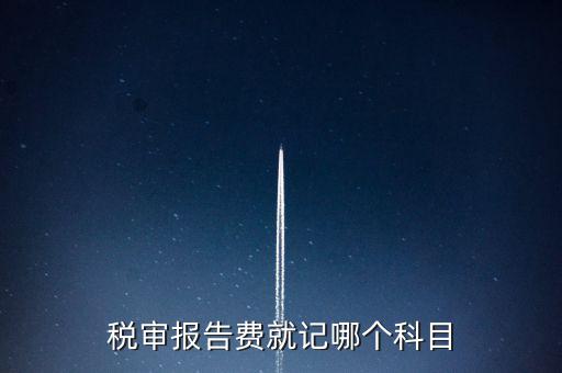 稅審費(fèi)計(jì)入什么科目，稅審費(fèi)屬于哪個(gè)科目