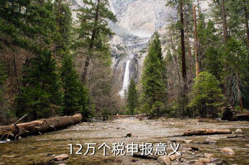 12萬為什么個(gè)稅申報(bào)表，12萬以上個(gè)人所得稅申報(bào)是什么意思