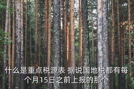 稅源監(jiān)控表是什么，股東股權(quán)變更稅源監(jiān)控登記表怎么填寫(xiě)