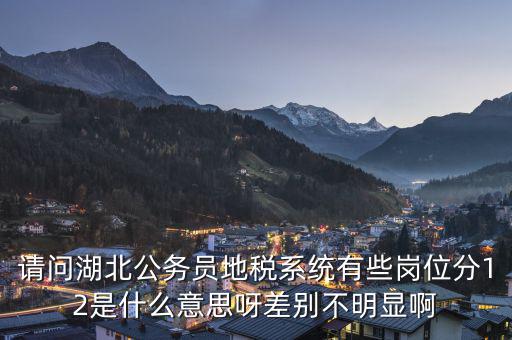地稅上線是什么意思，0801國稅地稅啥意思