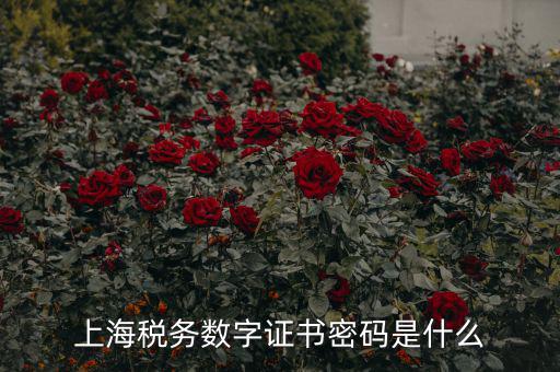 稅務(wù)數(shù)字證書密碼是什么，稅務(wù)密鑰是什么東西是數(shù)字證書嗎
