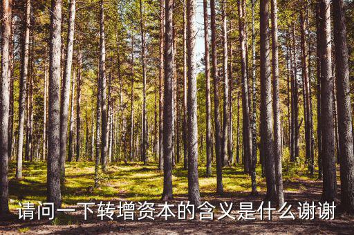 什么是利潤(rùn)轉(zhuǎn)增資，什么叫轉(zhuǎn)增資本通俗一點(diǎn)越白話越好