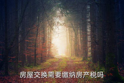 房地產(chǎn)置換應(yīng)交什么稅，開辦房產(chǎn)置換公司取得的收入交什么稅費