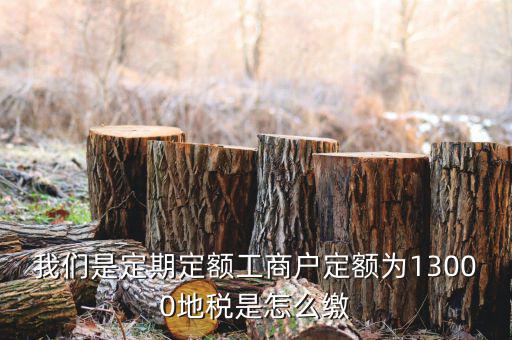 地稅定期定額戶是什么意思，我們是定期定額工商戶定額為13000地稅是怎么繳