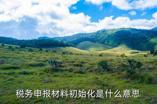 地稅初始化文件是什么意思，稅務申報材料初始化是什么意思