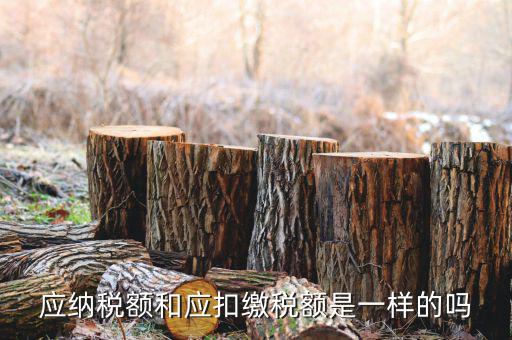 應(yīng)扣繳稅額是什么意思，應(yīng)納稅額是什么意思