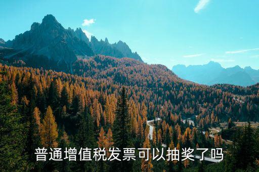 什么樣的發(fā)票才能抽獎，發(fā)票怎么抽獎